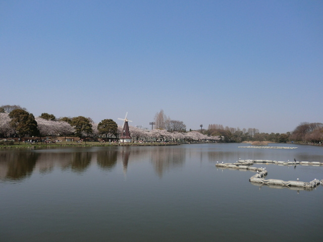 フラット・フォーティーン（♭１４）のその他|浮間公園