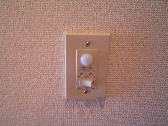 ヒーリングカーサのその他