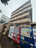 Ｌｉｚ三ッ沢の画像