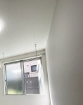 カインドネスＮの展望