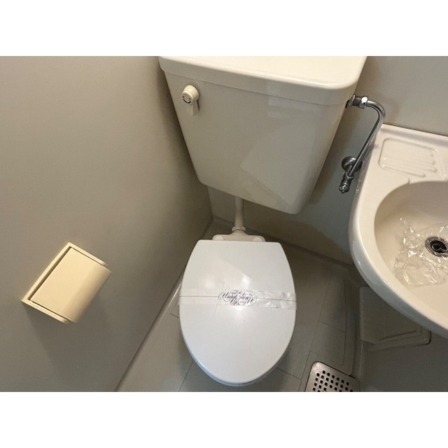たいしん与野ハイツのトイレ