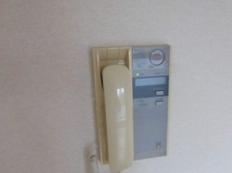 パークフロントのセキュリティ