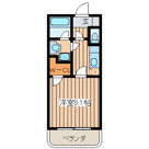 アヴニール の画像