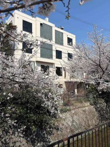 白川疏水沿い 窓辺で味わう、季節と一皿 の外観