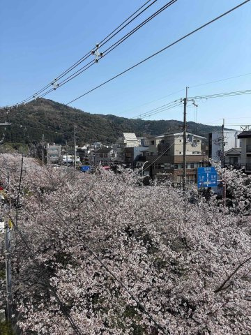 白川疏水沿い 窓辺で味わう、季節と一皿 の展望|大文字が見えます！