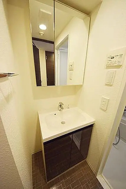 ＤＩＰＳ日暮里Ⅱの洗面所|別室参考写真