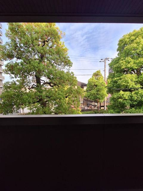 ＬＥＡＦ　ＭＯＯＮの展望|★バルコニーからの景色です★