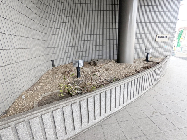 アルモニコンフォールのその他|★植栽★