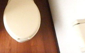 藤コーポのトイレ