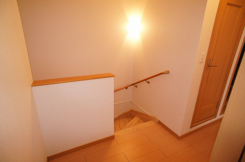 カメリアのその他