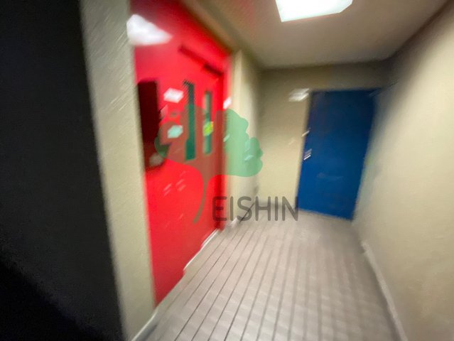 メイグレイス87