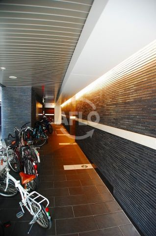 パウゼ堺筋のその他|パウゼ堺筋　駐輪場