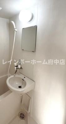 ランドウェル八王子の洗面所