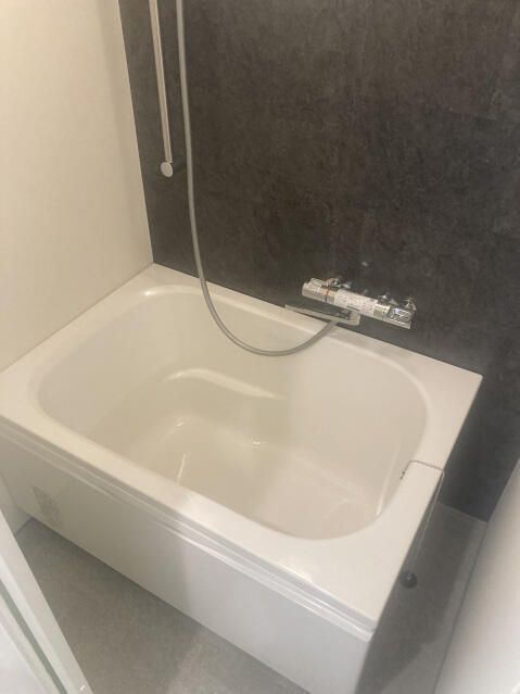 田園ハイツ藤ケ丘の浴室
