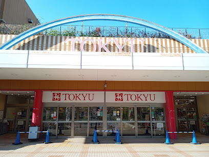 セレスティア高島平Ⅲの周辺