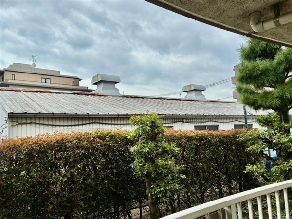 第一ハウス崔綜のその他
