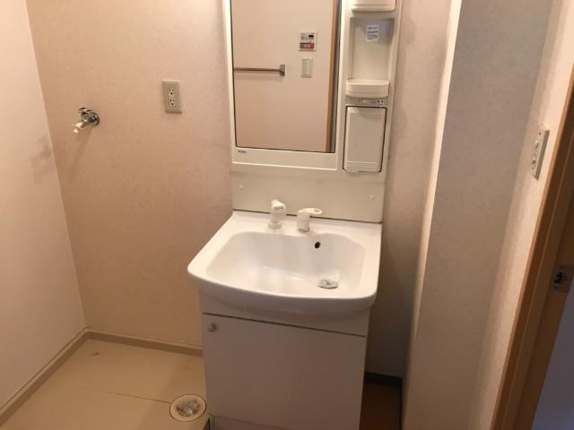 菊池郡菊陽町大字津久礼の賃貸マンションの洗面所|洗髪洗面化粧台