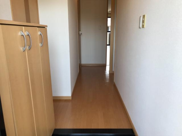 菊池郡菊陽町大字津久礼の賃貸マンションの玄関|玄関
