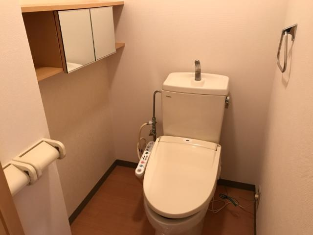 菊池郡菊陽町大字津久礼の賃貸マンションのトイレ|シャワー付トイレ