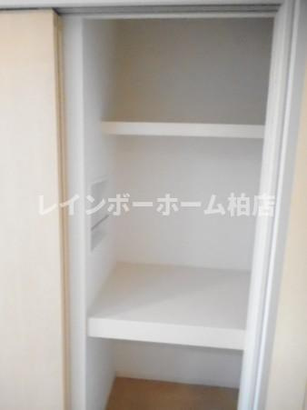 特典：仲介手数料が50％OFFです‼の収納|十分な収納スペースがあります