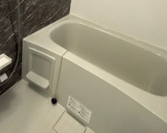 ヴィラ　アルブル　３０５の浴室