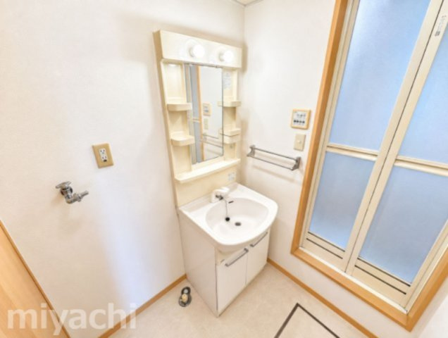 シャーメゾン藍住Dの洗面所