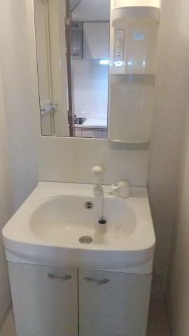 川崎市中原区新丸子町の賃貸マンションの洗面所