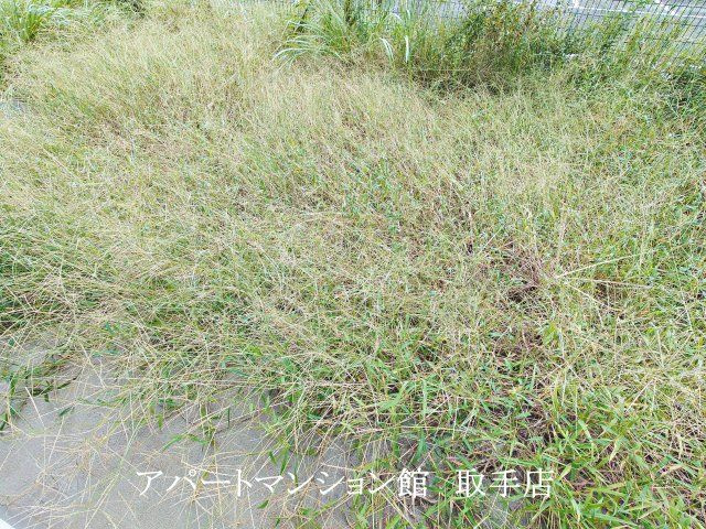 リバーサイドマンションの庭