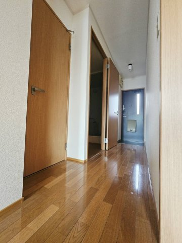 ｓｔａｚｉｏｎｅのその他
