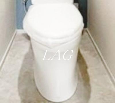 【トイレ】 | メゾンサトウ | トイレです。