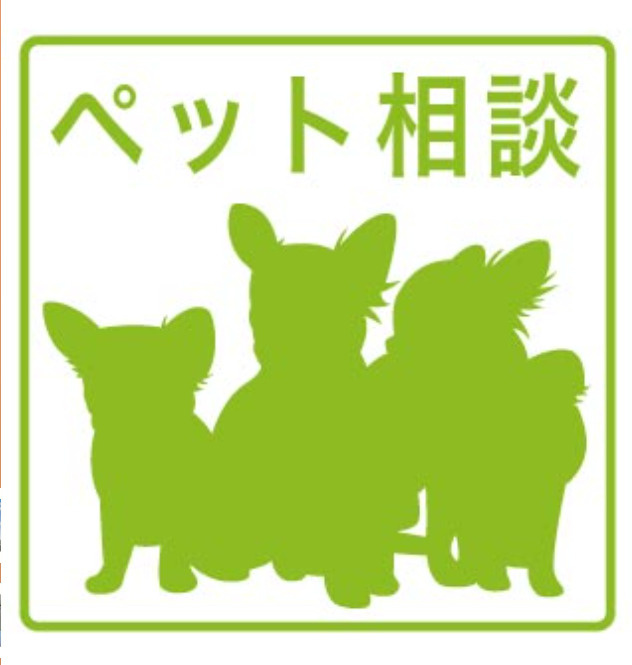 (仮称)ジーメゾン名古屋柳堀町のその他