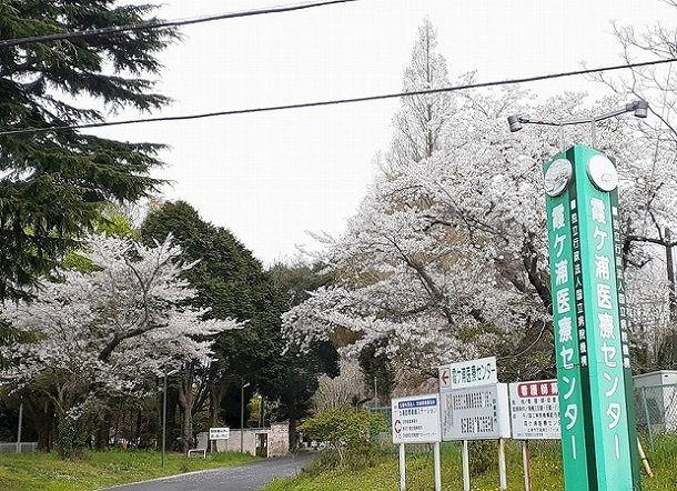 アイレジデンス　Ⅱ番館の周辺|その他