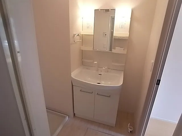 メゾンベージュの洗面所