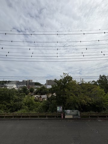 バルコニーからの眺望は目の前が小山白山公園で眺望良好です♪