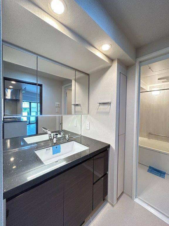 新宿区西早稲田２丁目の賃貸マンションの洗面所