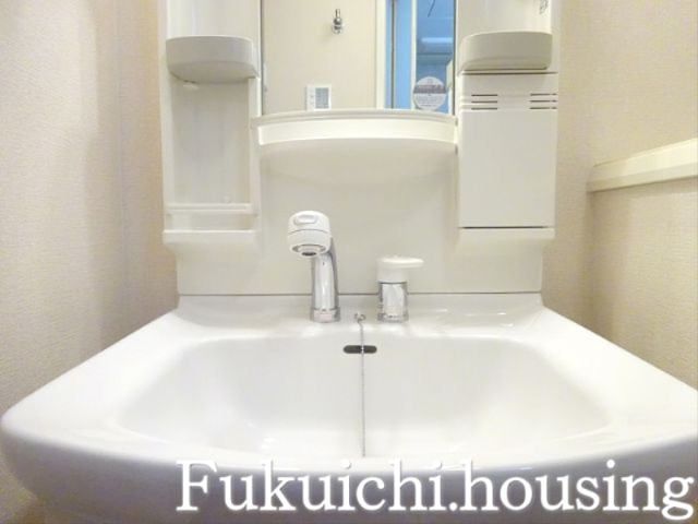 ハウス中屋の洗面所