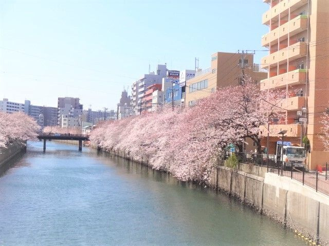 テルトル・ルージュⅡのその他