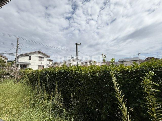 グランカーサ緑地公園の展望