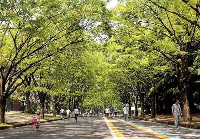 みもざ深沢のその他
