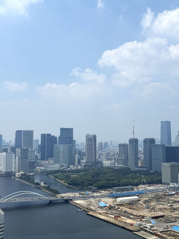 グランドシティタワー月島の展望