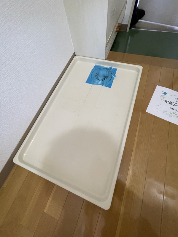 Southern Gardenのその他