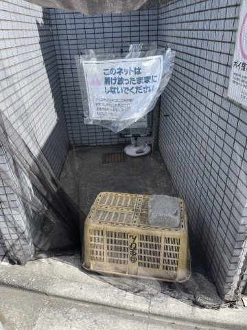 Southern Gardenのその他