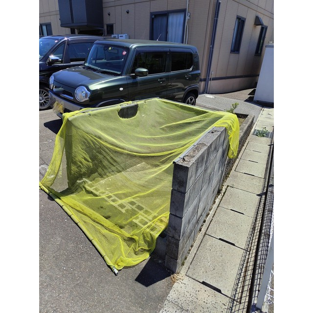 シェソワＮのその他