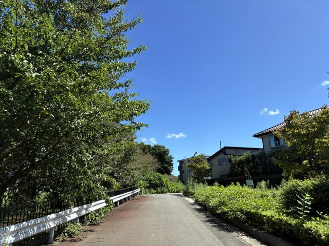 【周辺】 | コモディ　モンテⅡ