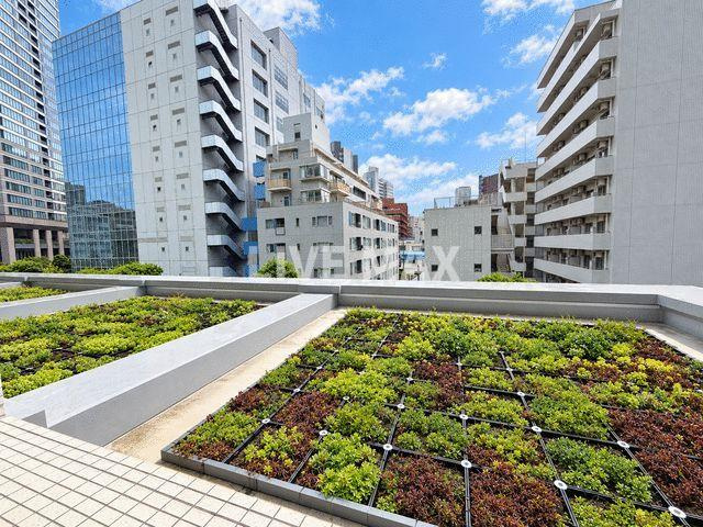 【展望】白金タワー　テラス棟 