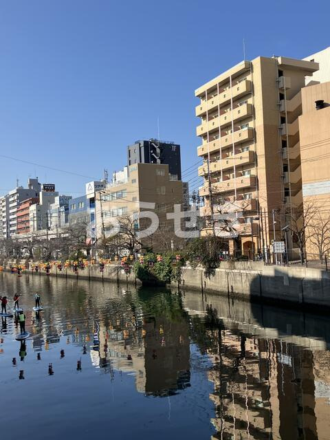 テルトル・ルージュ　Ⅱの展望