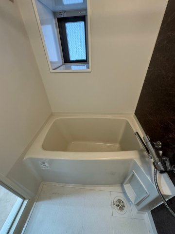 セイル淀屋橋の浴室
