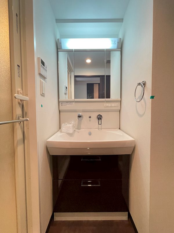 S-RESIDENCE淀屋橋の洗面所