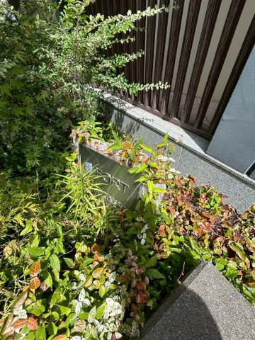 S-FORT神戸神楽町の庭