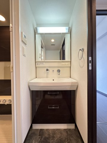 S-RESIDENCE淀屋橋の洗面所